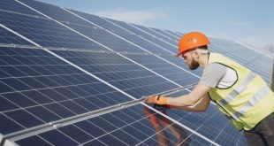 Se instalan "árboles solares" productores de electricidad en la ciudad de Valencia